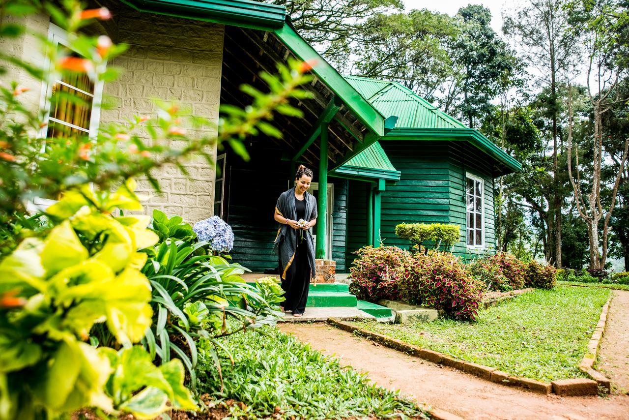 Royal Majesty Bungalow Hatton Eksteriør bilde